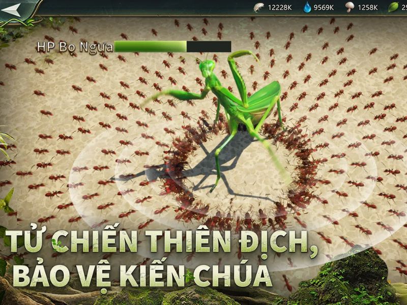 Ant Legion Huấn luyện binh đoàn kiến hùng mạnh, thiện chiến