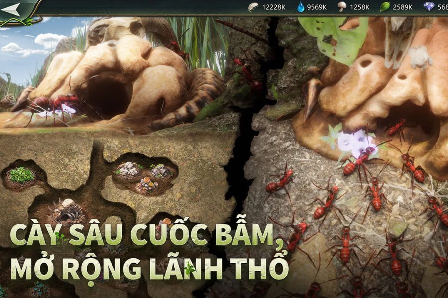 banner Hack Ant Legion 1