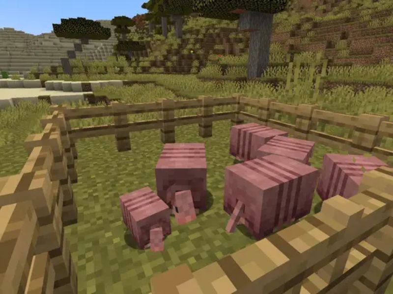 Động vật Armadillo trong Minecraft Menu Tiếng Việt Modlmh.com
